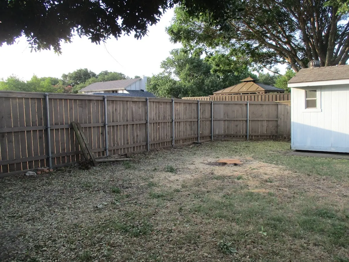 Cleared yard after professional tree removal in Brewster